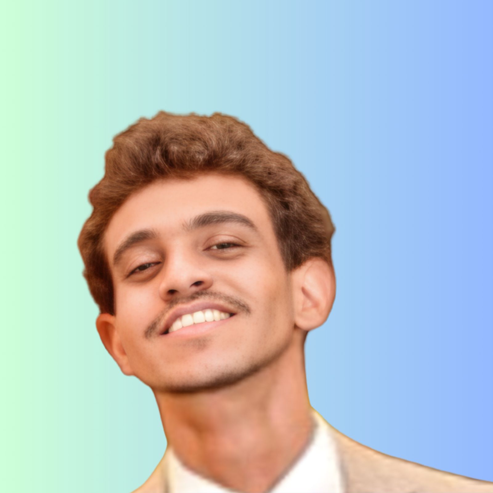 Mr. Elmounzir Mohamed